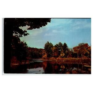 Vintage 1970 Exquisite Fall Setting Postcard - Mycechrome Scenic View